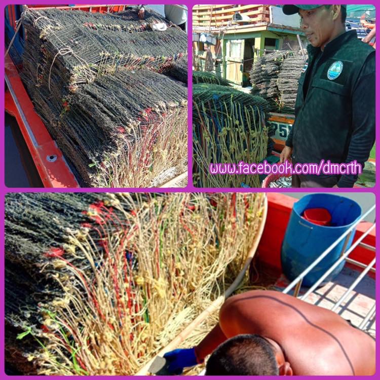 ตรวจเรือประมงกระบี่ ไม่พบผิดกฎหมาย
