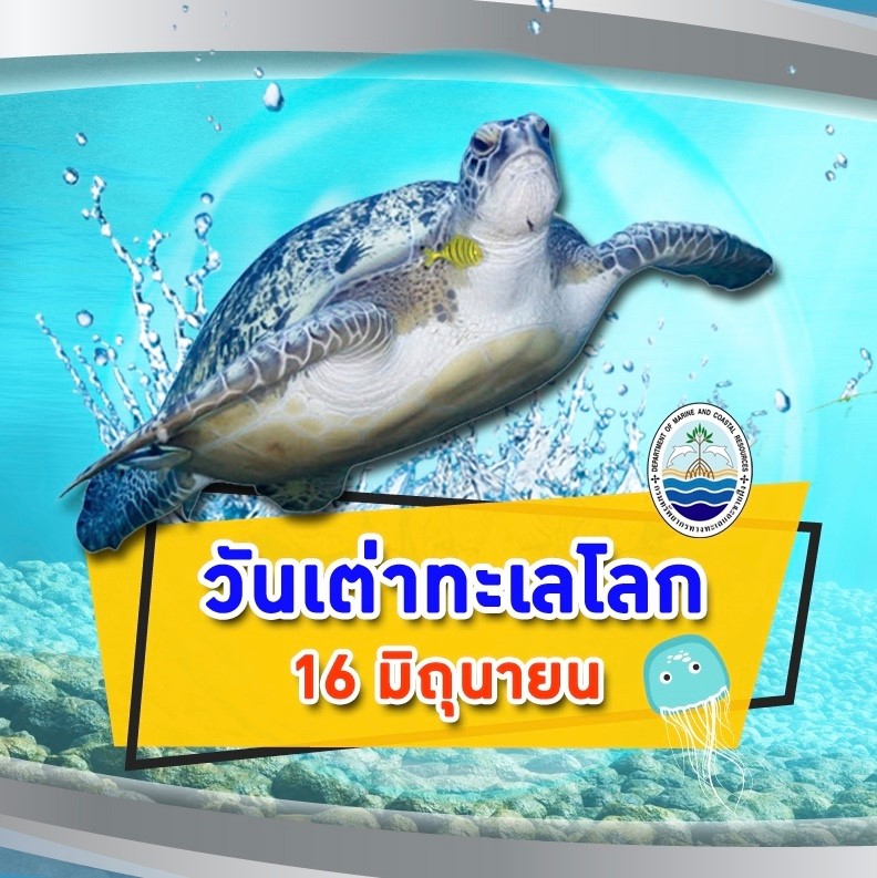 สวัสดี พี่น้องเครือข่ายรักษ์ทะเลไทย