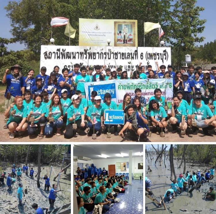 ทช.เมืองเพชร สานฝันนิสิตแพทย์สู่ค่ายพิทักษ์รักสัตว์ปีที่๘