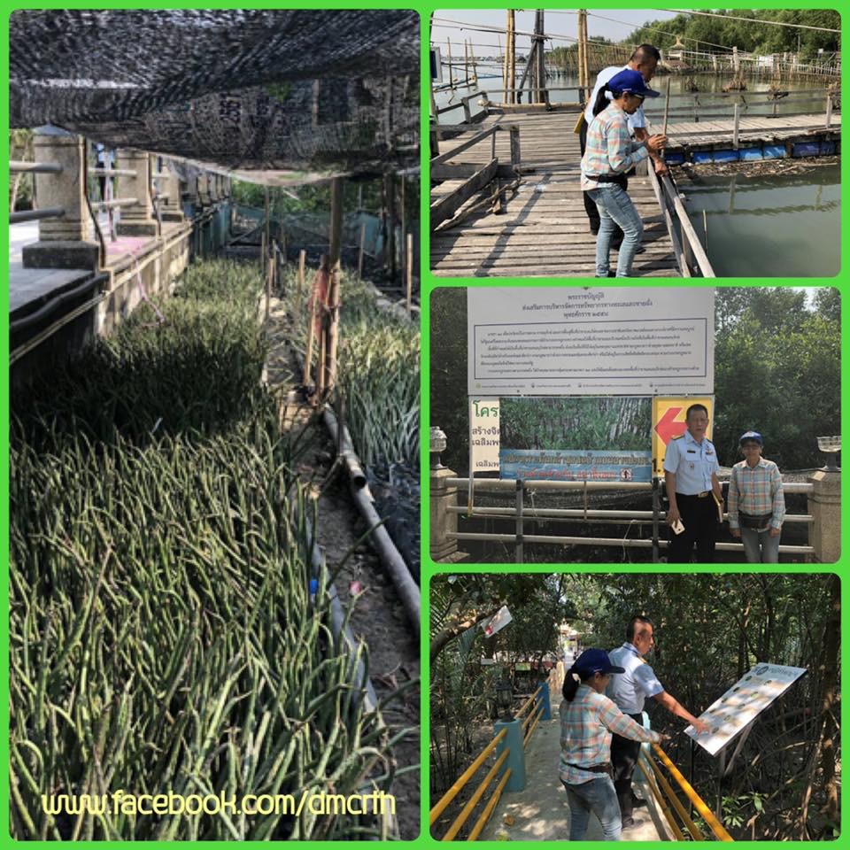 ทช. ชวนแกนนำเครือข่ายขับเคลื่อนอนุรักษ์ทะเลบางปะกง