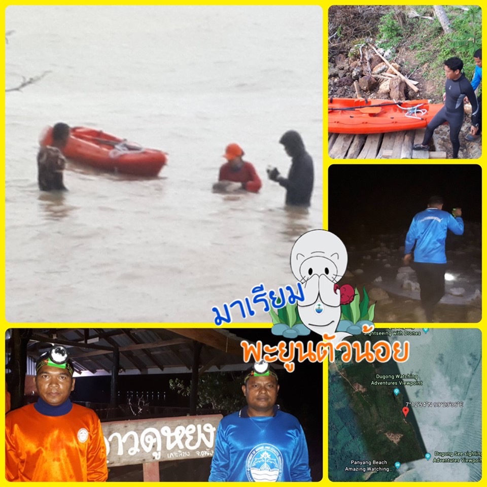 เฝ้าระวังเกยตื้นช่วงน้ำลด เจ้ามาเรียม พะยูนจอมซน