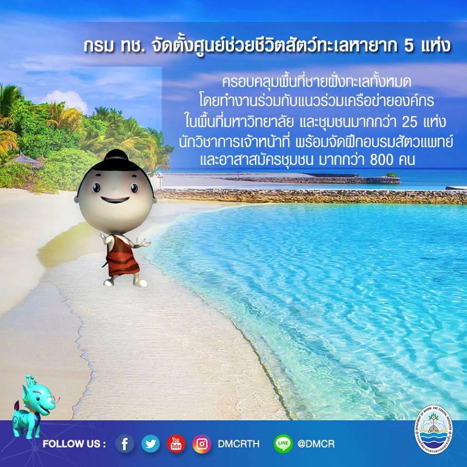 พบสัตว์ทะเลเกยตื้น พวกเราช่วยพวกเขาได้