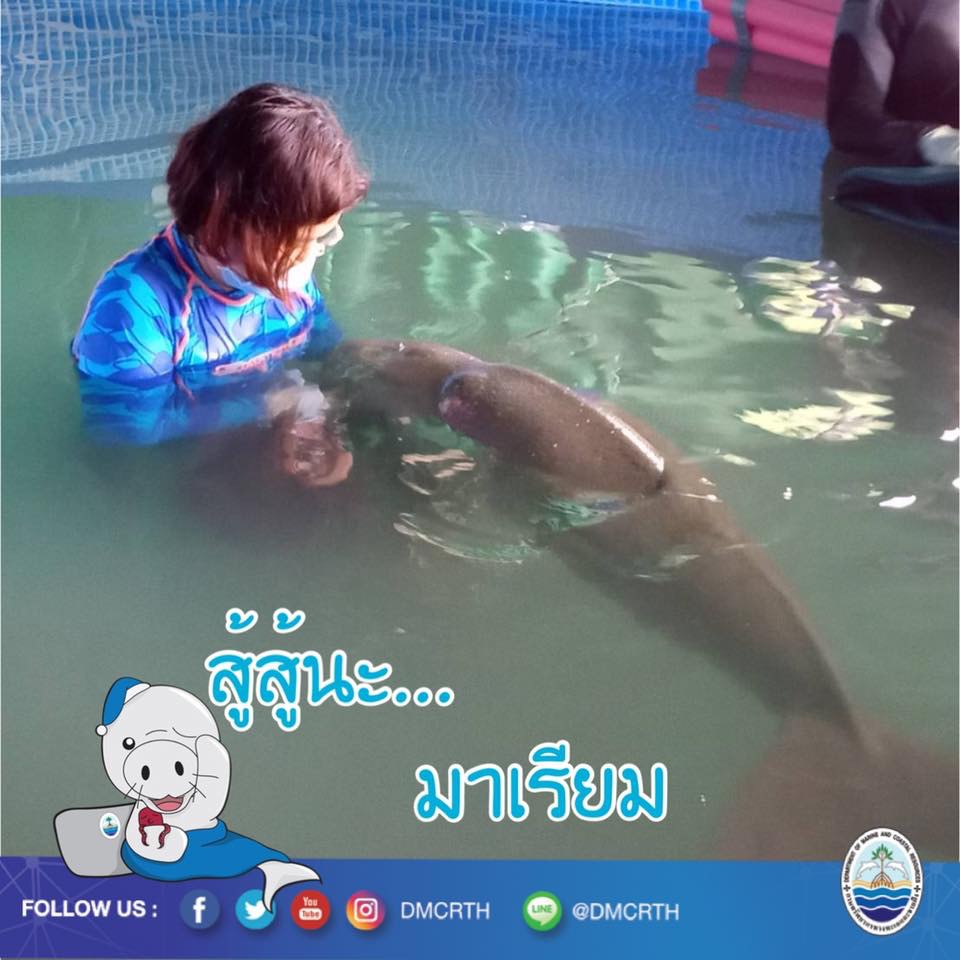 สวัสดี พี่น้องเครือข่ายรักษ์ทะเลไทย