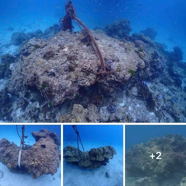 แจ้งจับเรือมักง่าย ใช้ปะการังโขดเป็นฐานทุ่นผูกเรือ