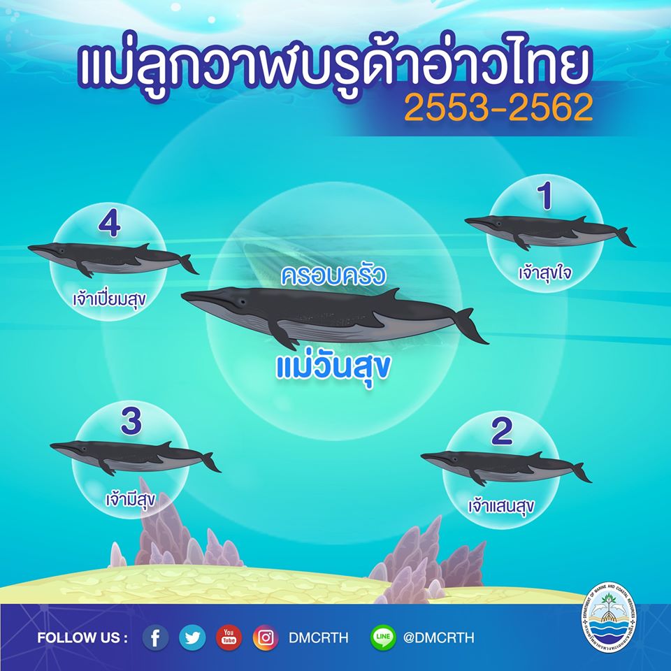 ครอบครัววาฬบรูด้า ๑๖/๑๘ ครอบครัวแม่วันสุข