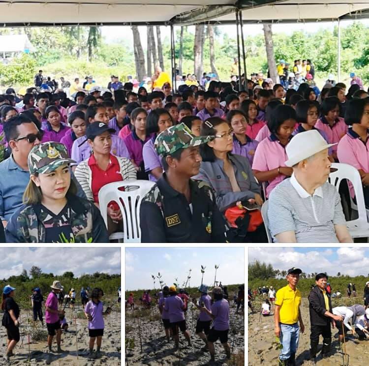 สโมสรไลออนชิซูโอกะ จัดปลูกป่าชายเลนไทย-ญี่ปุ่น