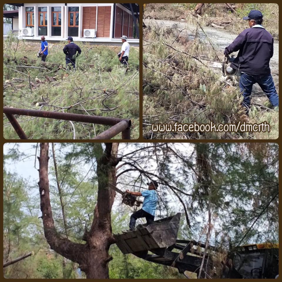 ลงพื้นที่ตัดท่อนไม้ กีดขวางทางแหลมตะลุมพุก