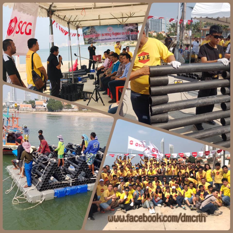 หาดงามตา ปลากลับบ้าน สร้างบ้านปลา SCG ฟื้นฟูทะเลชลบุรี