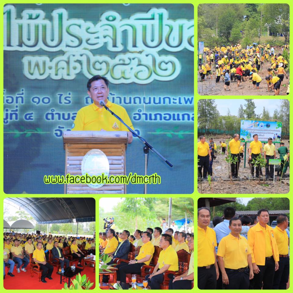 พร้อมใจชาวระยอง ปลูกป่าชายเลน วันต้นไม้ประจำปีของชาติ