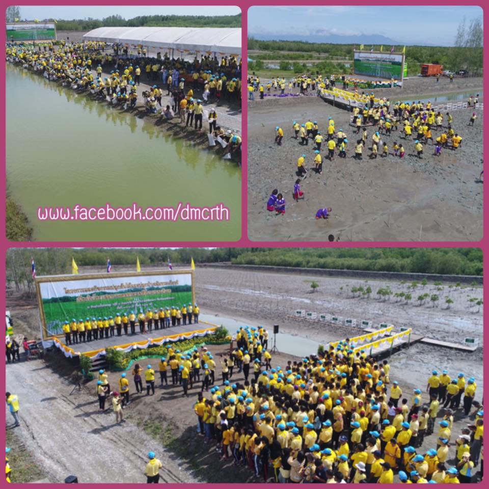 รวมพลังชาวนครศรีธรรมราช ปลูกป่าเฉลิมพระเกียรติ ร.๑๐