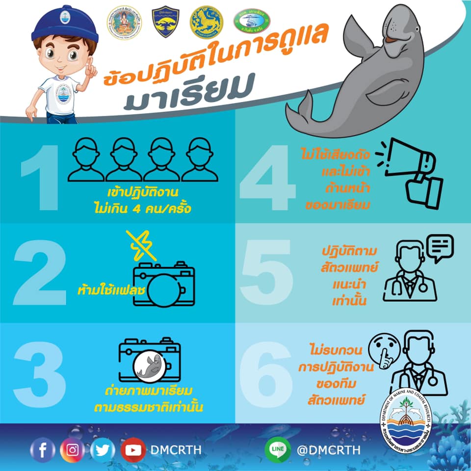 เพื่อความเป็นระเบียบในการปฏิบัติงานดูแลมาเรียม พะยูนตัวน้อย