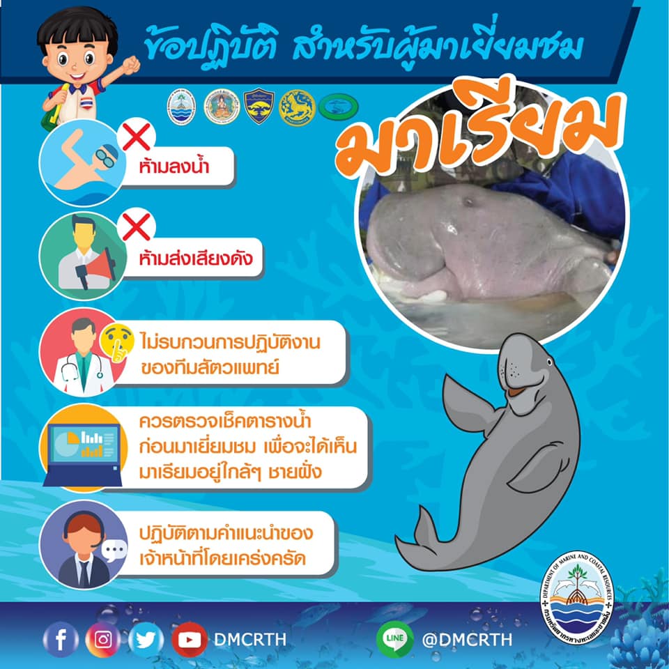 ใครๆ ก็รักมาเรียม แต่ติดตามจากสื่อจะสะดวกที่สุด