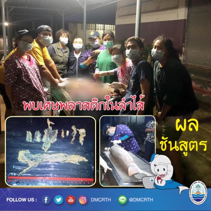 ไม่อยากเชื่อ น้องมาเรียม จากไปจากขยะพลาสติก