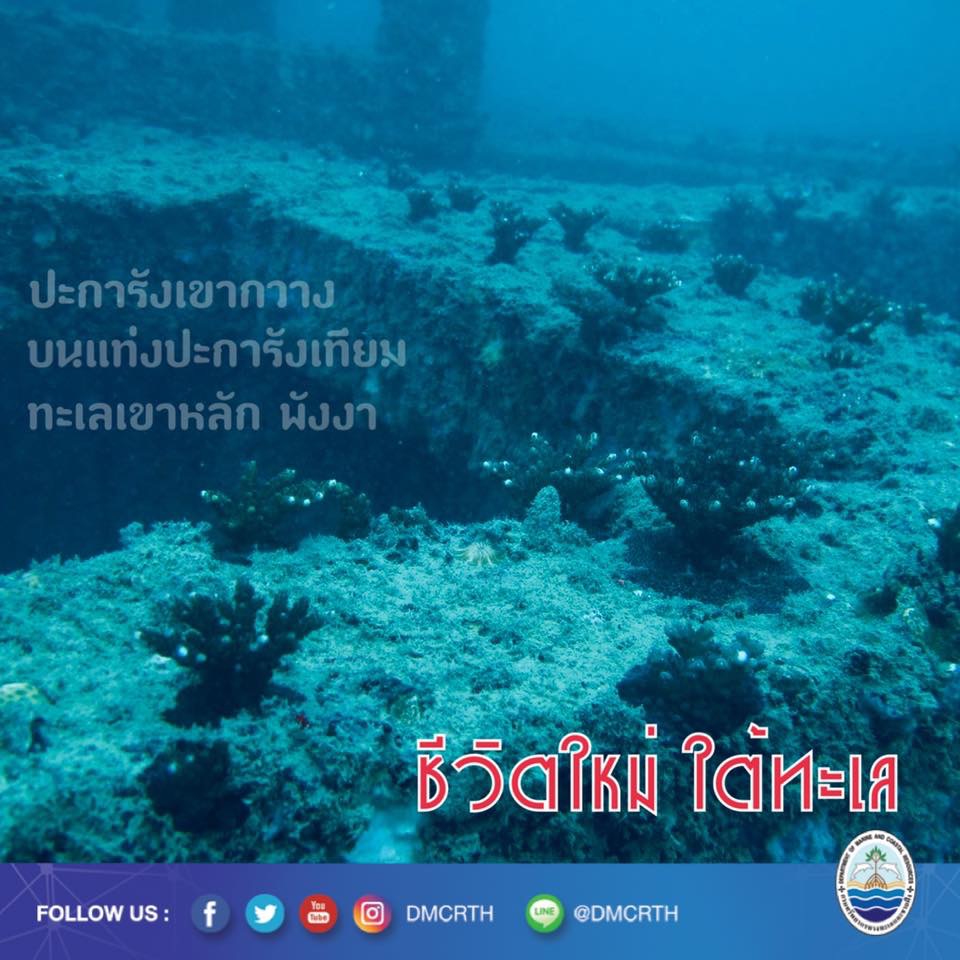สวัสดี พี่น้องเครือข่ายอนุรักษ์ทะเลไทย