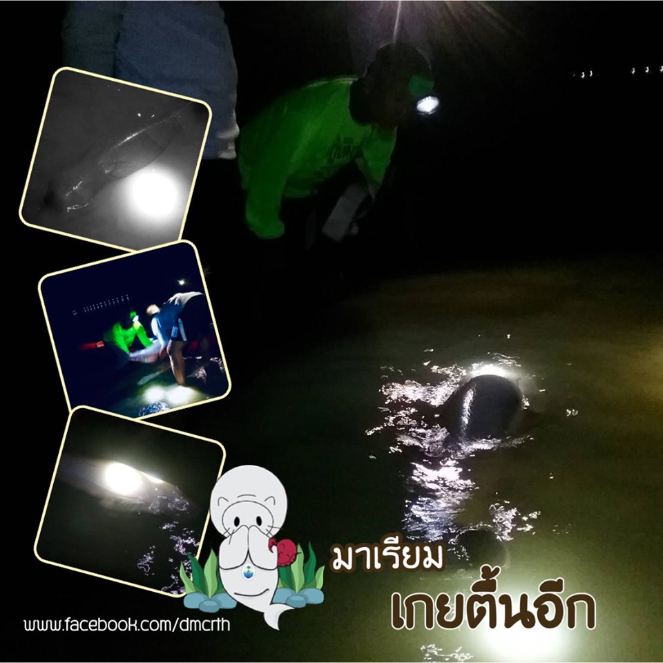ช่วงนี้น้ำทะเลลดลงต่ำ ทีมงานเข้มฯ ปรับแผนเฝ้าระวังมาเรียม
