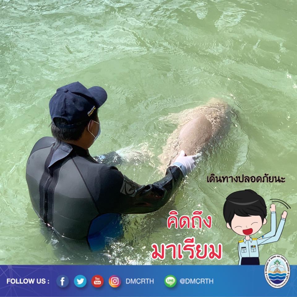 สวัสดี พี่น้องเครือข่ายรักษ์ทะเลไทย