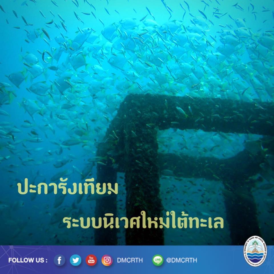 สวัสดี พี่น้องเครือข่ายอนุรักษ์ทะเลไทย