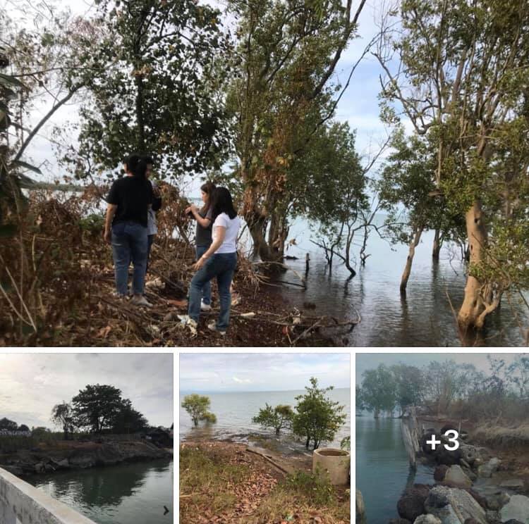 ลงพื้นที่สำรวจการกัดเซาะชายฝั่งทะเลตราด