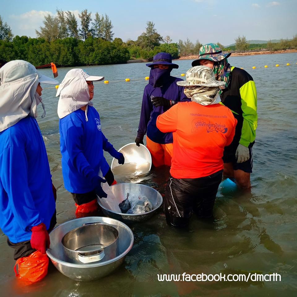ทะเลจันทบุรี มีดีที่หญ้าทะเล