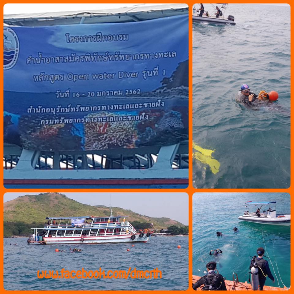 รักษาความปลอดภัย ฝึกอบรมดำน้ำ Open Water Diver