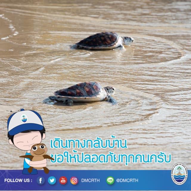 สวัสดี พี่น้องเครือข่ายรักษ์ทะเลไทย