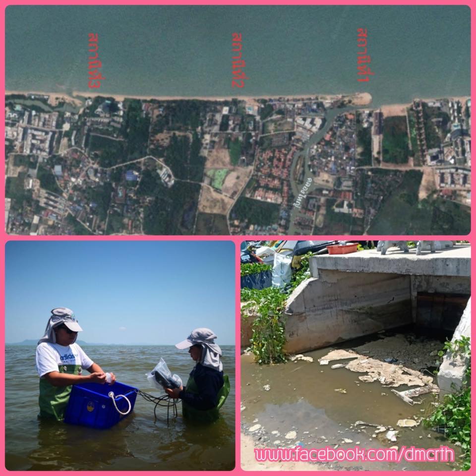 ทช. ตรวจสอบคุณภาพน้ำหาดจอมเทียน เริ่มกลับสู่สภาพปกติ