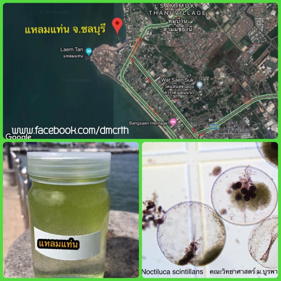 พบน้ำทะเลเริ่มเปลี่ยนสี แหลมแท่น