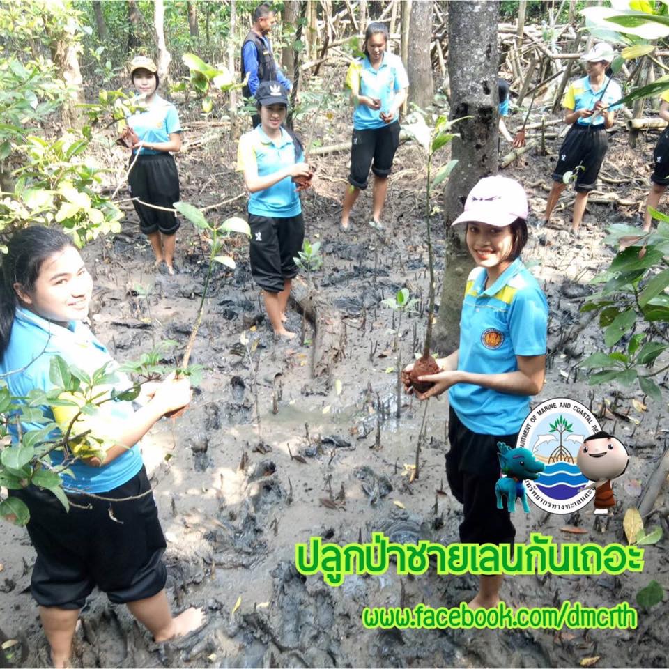 สวัสดี พี่น้องเครือข่ายรักษ์ทะเลไทย