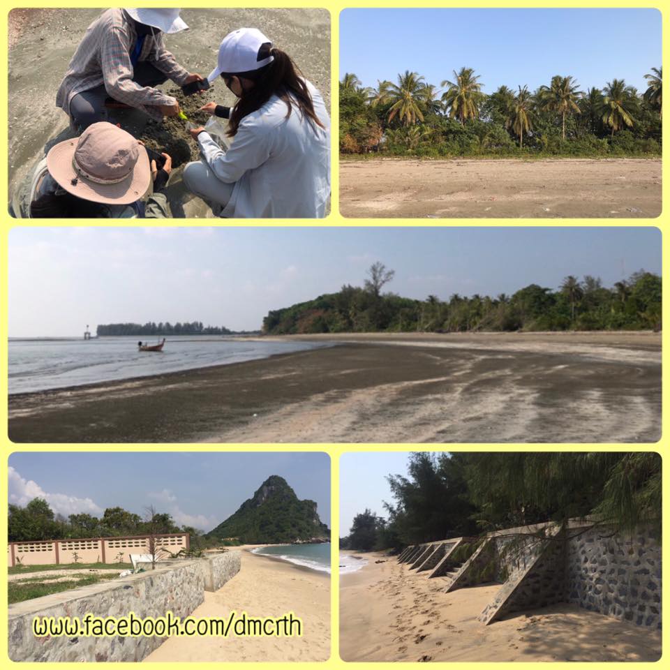 ตามดูชายฝั่งบ้านตันหยงละไน้และหาดสนกลาง ไม่พบกัดเซาะ