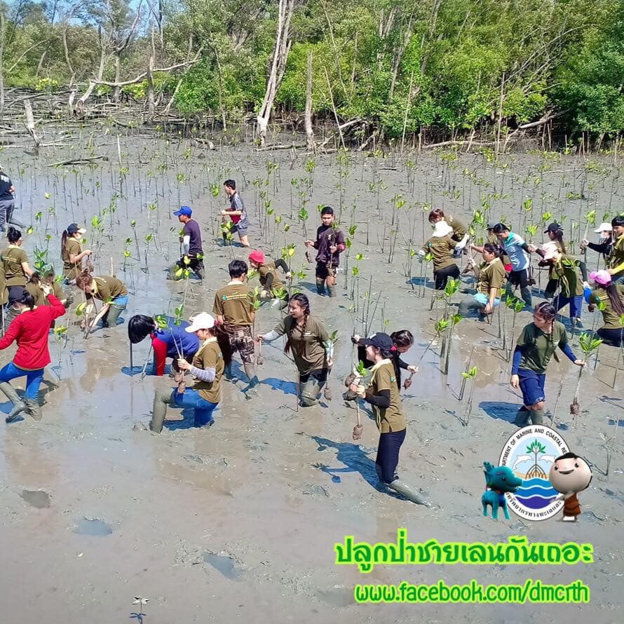 สวัสดี พี่น้องเครือข่ายรักษ์ทะเลไทย
