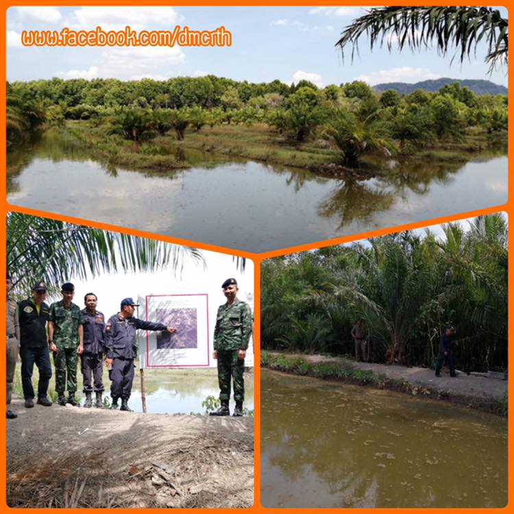 ทวงคืนผืนป่าชายเลนบ้านคลองน้ำเวียน เมืองสตูล