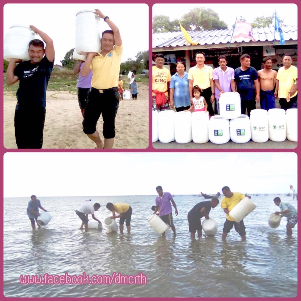 ปล่อยพันธุ์ปู ฟื้นฟูชายฝั่งทะเลบ้านหาดสมบูรณ์
