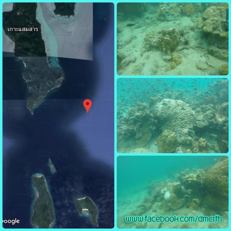 สถานการณ์ปะการังฟอกขาว และคราบน้ำมันอ่าวแสมสาร