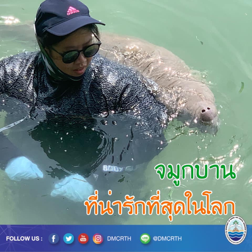 สวัสดี พี่น้องเครือข่ายรักษ์ทะเลไทย