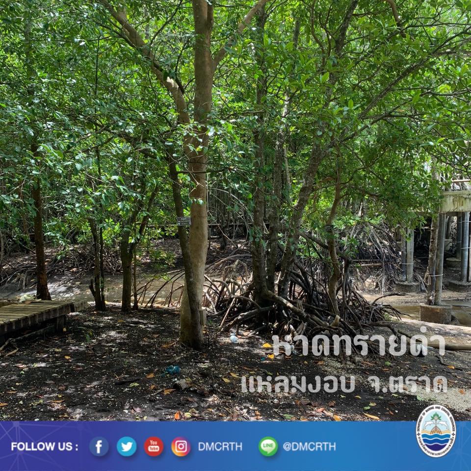 สวัสดี พี่น้องเครือข่ายอนุรักษ์ทะเลไทย