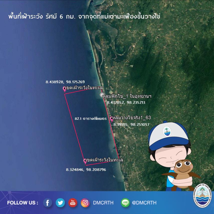 แจ้งหน่วยงานและชาวประมงในพื้นที่ ร่วมเฝ้าระวังเต่ามะเฟือง ท้ายเหมือง