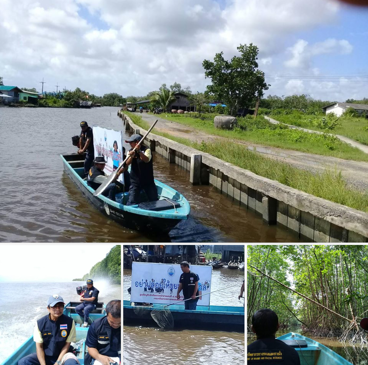 ผลลาดตระเวนเชิงคุณภาพทะเลปากพนังเรียบร้อยดี