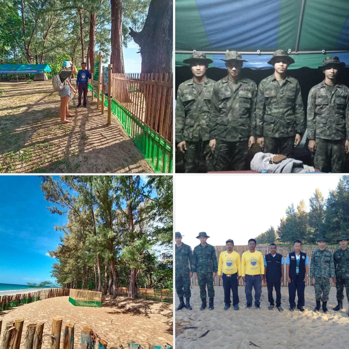 หาดท้ายเหมือง-บ่อดาน ไร้วี่แววเต่ามะเฟืองวางไข่เพิ่ม