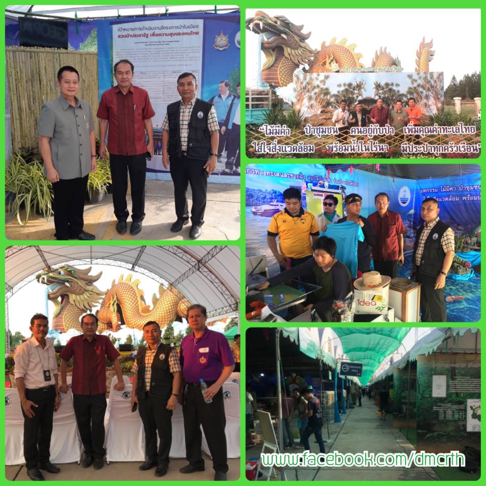 ทช. พร้อมร่วมจัดงานมหกรรมไม้มีค่า ๔ ภาค รอบนี้เมืองสุพรรณบุรี