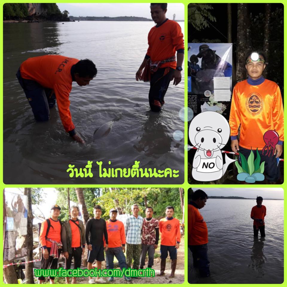 น้ำทะเลไม่ลดต่ำมากแล้ว วันนี้เซฟค่ะ มาเรียมไม่เกยตื้น