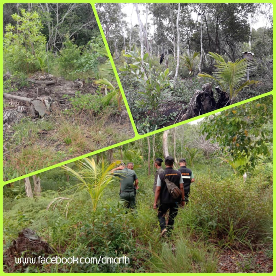 ทวงคืน พื้นที่พบลักลอบบุกรุกป่าชายเลนบนเกาะลันตา