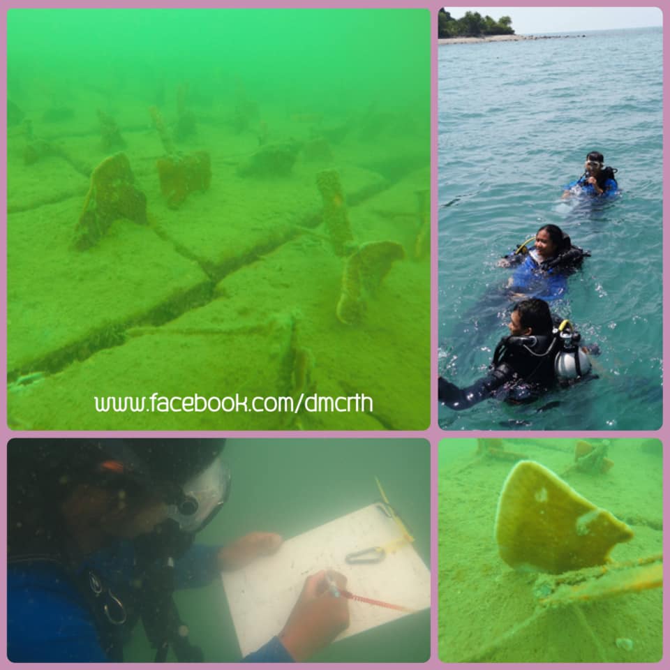 ย้ายปลูกปะการังที่เกาะขาม ได้ผลดี อัตรารอดสูง