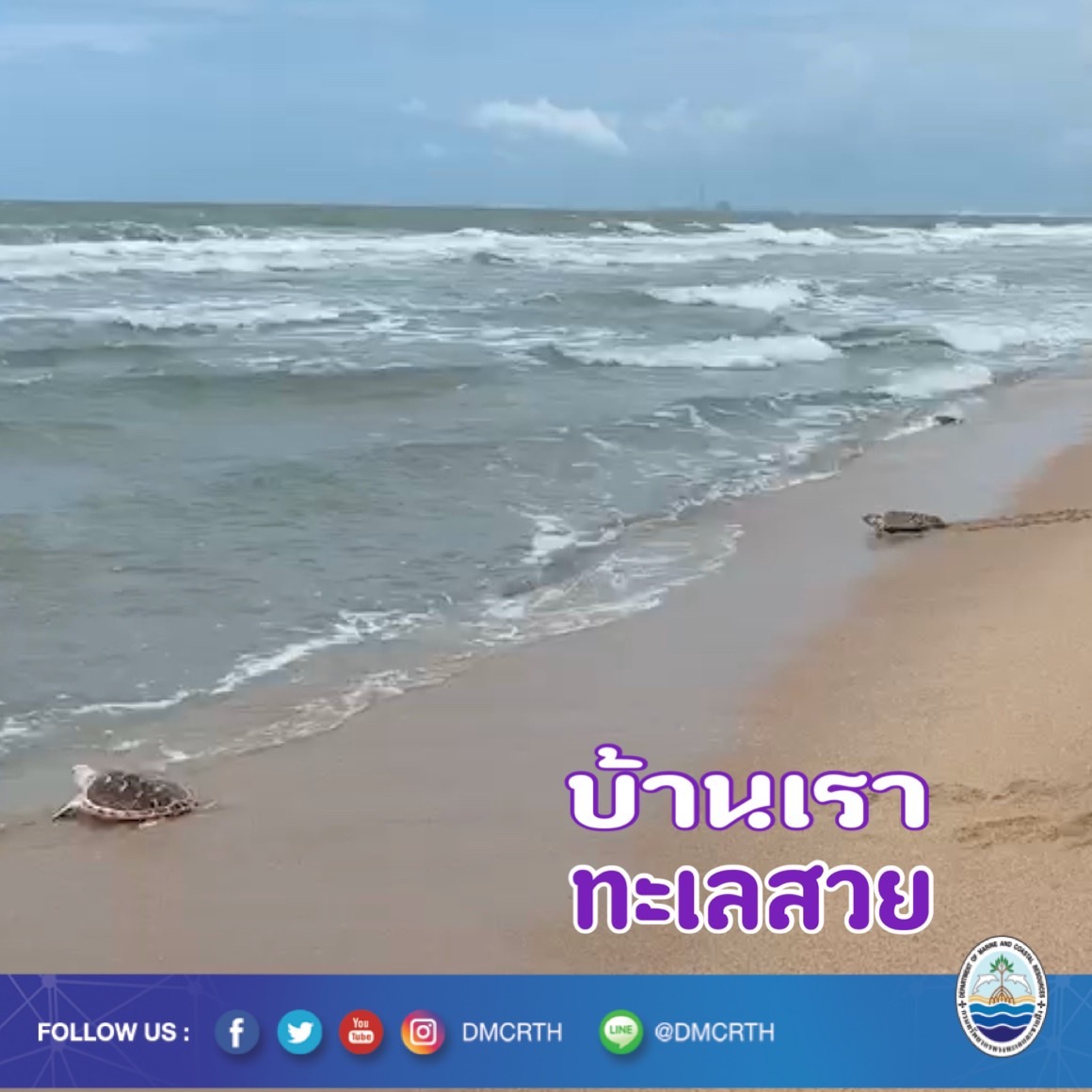 สวัสดี พี่น้องเครือข่ายอนุรักษ์ทะเลไทย
