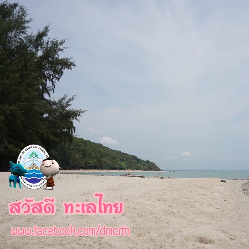 สวัสดี พี่น้องเครือข่ายรักษ์ทะเลไทย