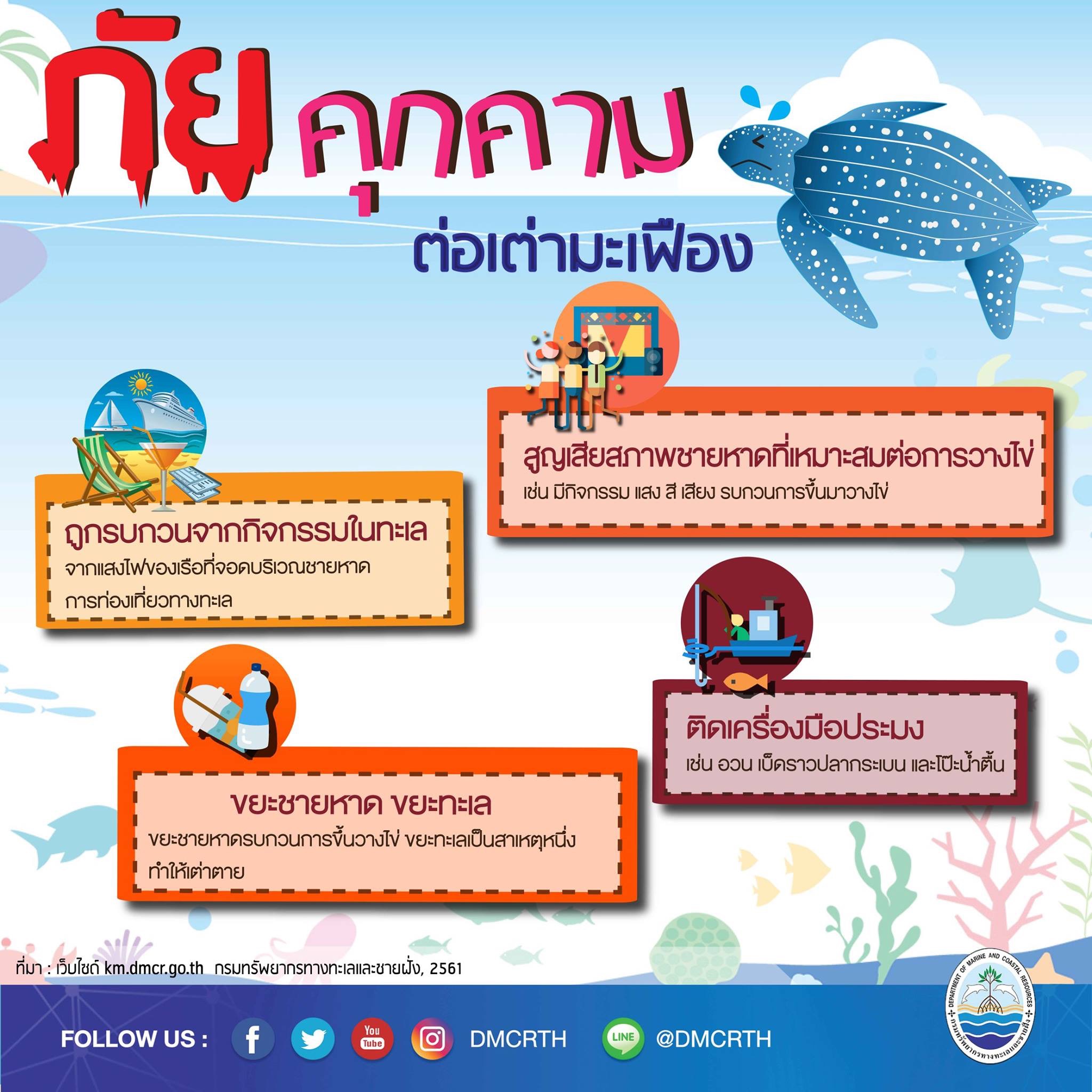 รู้จักแล้วจะรักเต่ามะเฟือง ตอนภัยคุกคาม