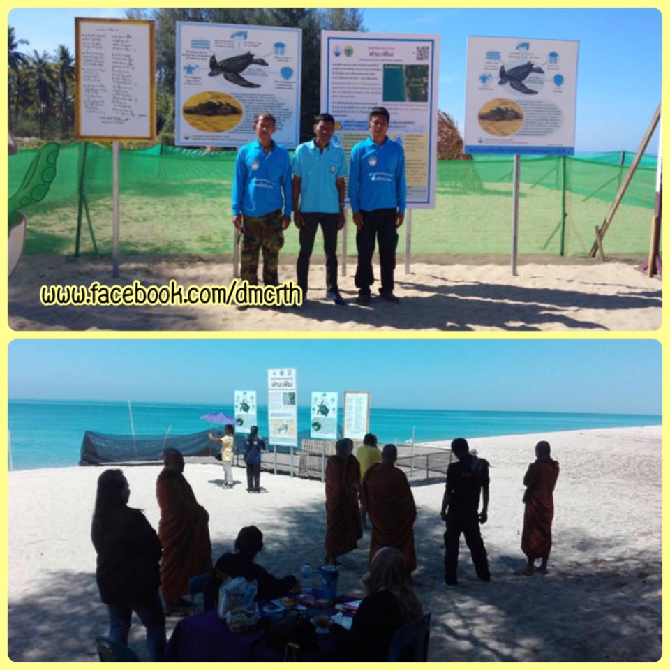 เฝ้าระวังใกล้ชิด หลุมไข่เต่าหาดคึกคัก หาดท่าไทร