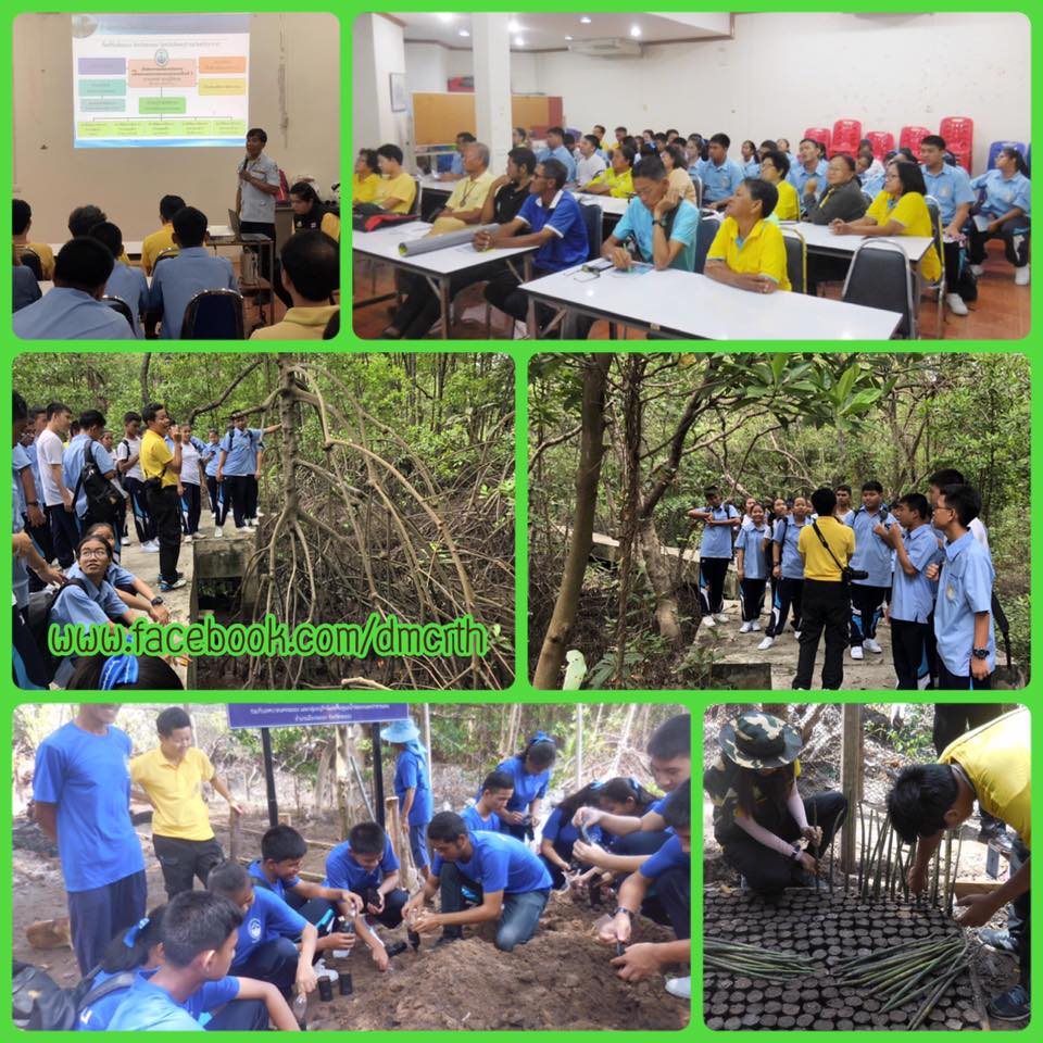 กระจายความรู้อนุรักษ์ป่าชายเลน ให้กับชุมชนเมืองระยอง
