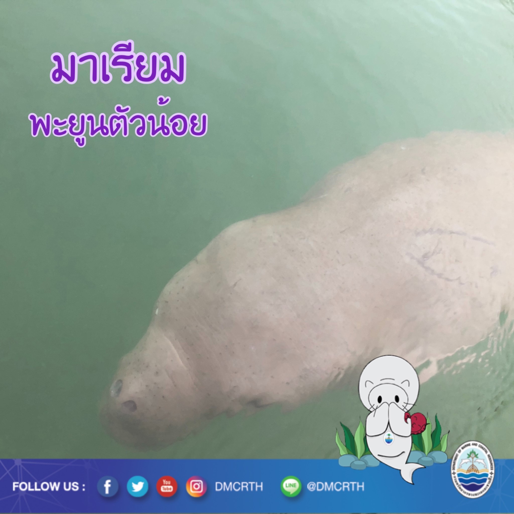 สวัสดี พี่น้องเครือข่ายรักษ์ทะเลไทย