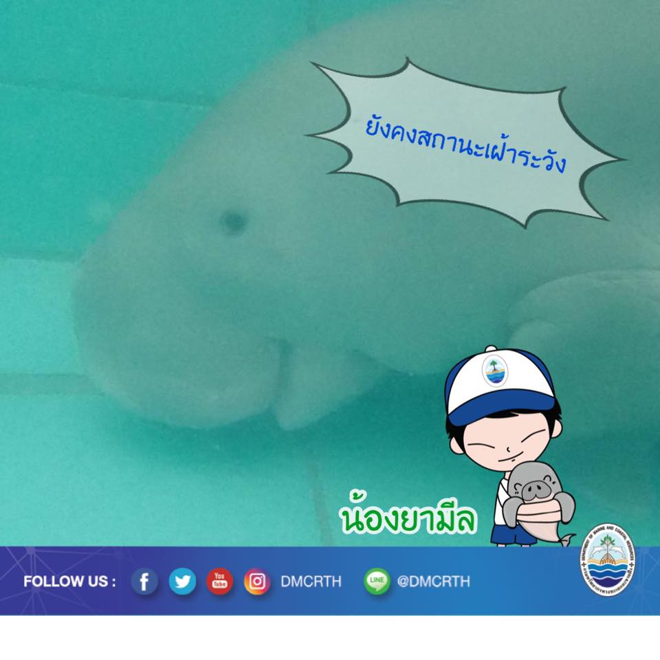 แม่ๆ ส่งใจช่วยด้วย อาการน้องยามีล ยังต้องเฝ้าระวัง