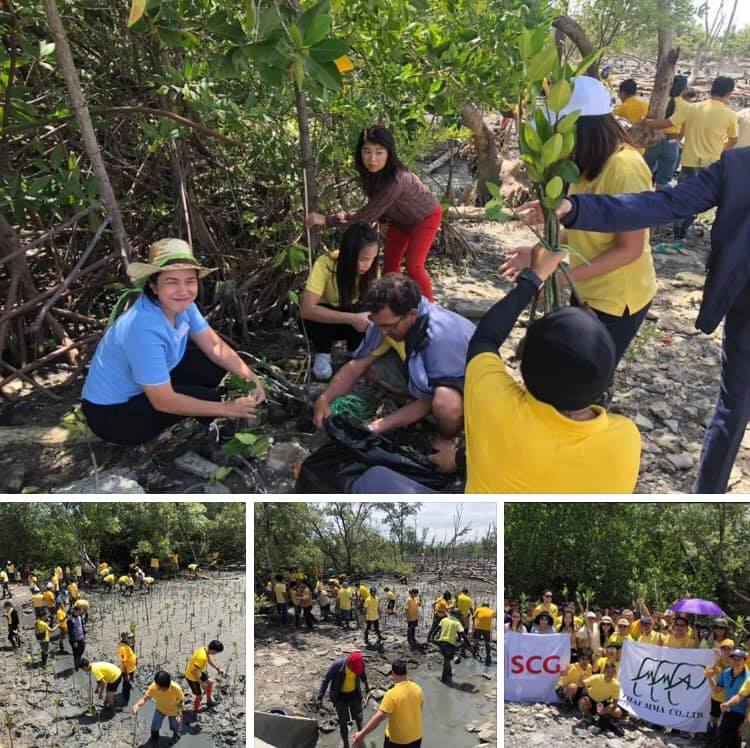 CSR ปลูกป่ากับ ไทย เอ็มเอ็มเอ